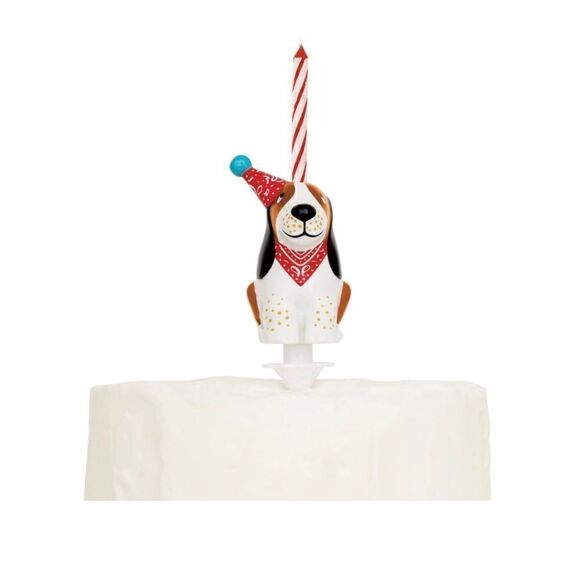 🦋 New Pioneer Woman Birthday Decorations Gift Set! Set of 4 - Picture 8 of 11